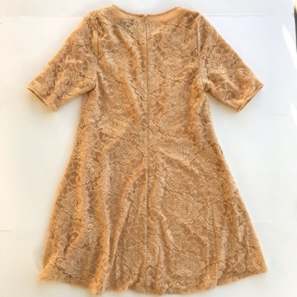 Wildfox White Label Rodeo Queen Lace Dress D23 - Picture 5 of 7